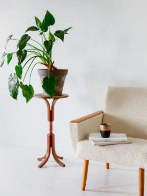 Armchair Next to an Artificial Plant