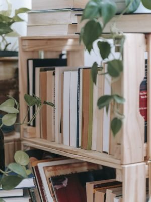 Stack of books on shelves at home