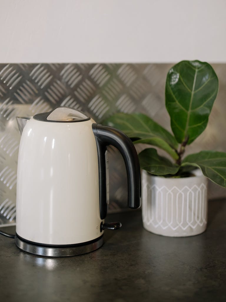 White and Black Electric Kettle